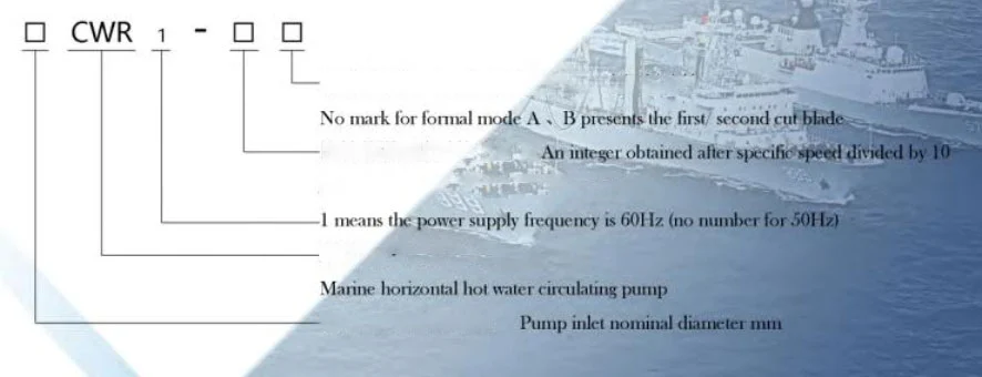 CWR Marine Horizontal Hot Water Circulating Pump
