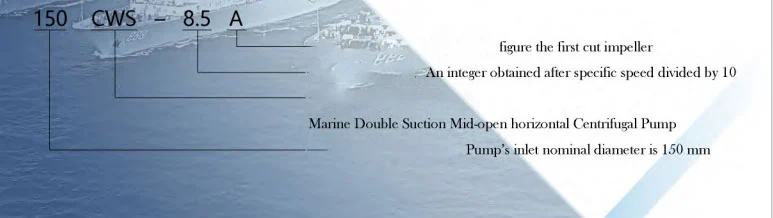 CWS Marine Double Suction Mid-Open Horizontal Centrifugal Pump